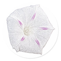 Morning Glory White Round Stickers