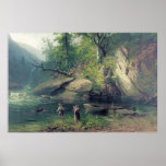 Morning in the Adirondacks posters