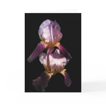 Morning Iris Cards