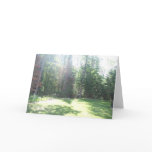 Morning Light Card
