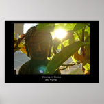 Morning meditation posters
