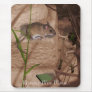 Morning Miss Mouse.. Mouse Pads