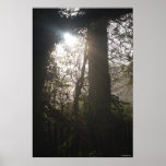 Morning mist at Mote Park Print