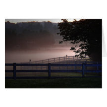 Morning Mist Cards