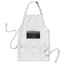 Morning Panorama Behind Saguaros Apron