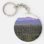 Morning Panorama Behind Saguaros Keychain
