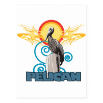 Morning Pelican postcards