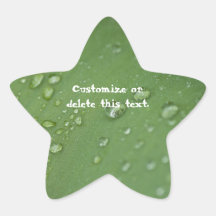 Morning Rain; Customisable Star Sticker