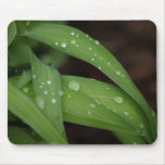 Morning Rain on Perfect Blades of Grass Mousepad
