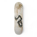 Morning skateboards