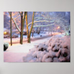 Morning Snow posters