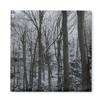 Morning Snowfall Refrigerator Magnets