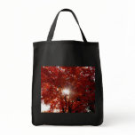 Morning Sun in Tree Canvas Bag