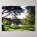 Morning walk posters