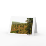 Moroccan Valley with Trees cards