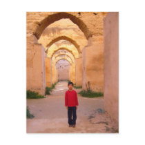morocco moment with mew postcard