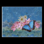 Morpho Magic Postcard postcards