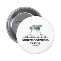 Morphogenesis Inside (Fruit Fly Drosophila Genes) Buttons