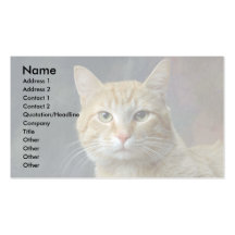 Morris Business Card