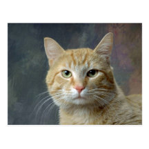 Morris Postcard