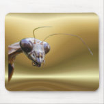 Morticia Mantis ~ mousepad