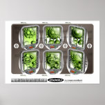 Morv' X-Rays posters