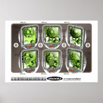 Morv' X-Rays Posters
