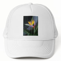 Mosaic Bird of Paradise 10