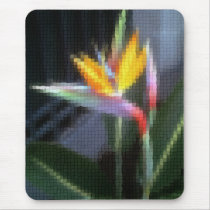 Mosaic Bird of Paradise 10
