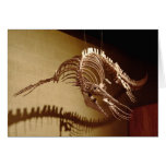 Mosasaur - "Sea Lizard" Greeting Cards