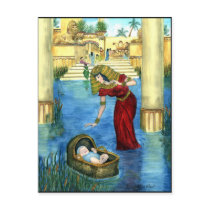 Moses in a Basket Postcard