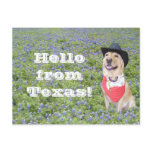Moses in Bluebonnets Post Cards