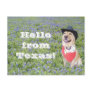 Moses in Bluebonnets Post Cards