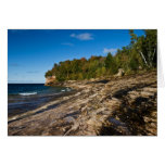 Mosquito Beach Card