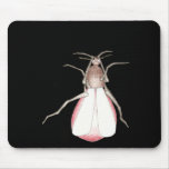 Mosquito Bite mousepads