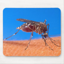 Mosquito Biting Mouse Pad
