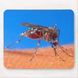Mosquito Biting mousepads