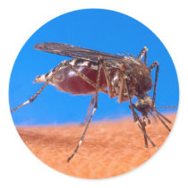 Mosquito Biting Stickers