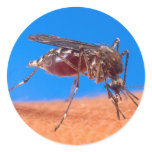 Mosquito Biting stickers