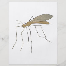mosquito crane fly flyer
