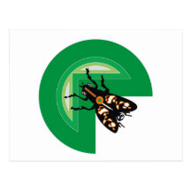 MOSQUITO POST CARDS