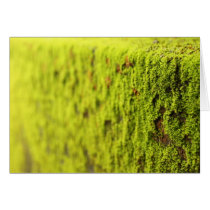 Moss Greeting Card