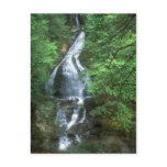 Moss Glen Falls Stowe Vermont Postcards
