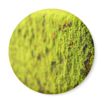 Moss Refrigerator Magnets