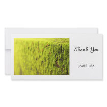 Moss Photo Greeting Card