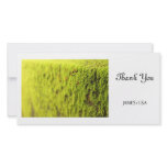 Moss photo cards