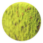 Moss stickers