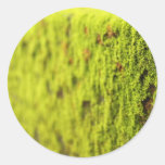 Moss Sticker
