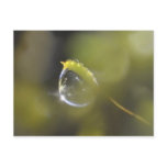 Moss with dewdrop postcard