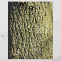 Moss wooden  tree trunk full color flyer